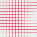 Transfer Tape - Red Grid